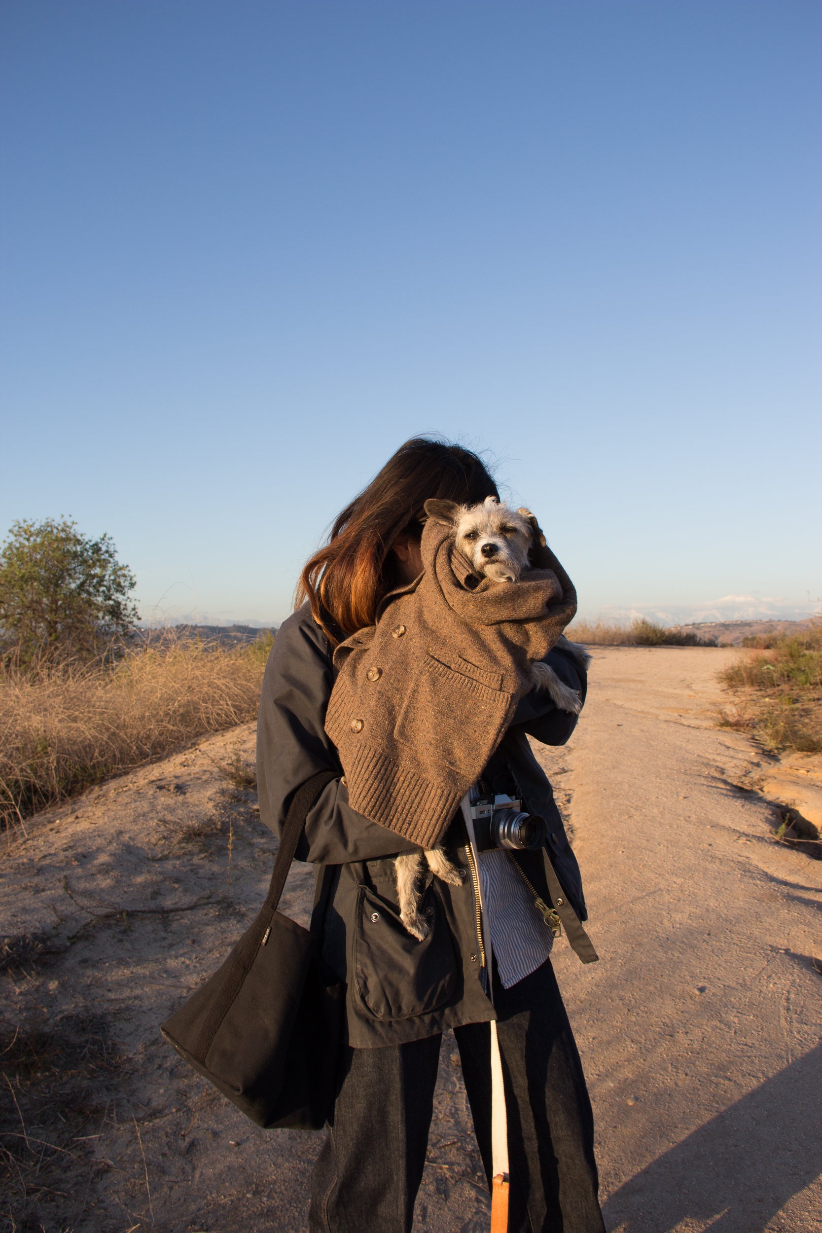 The Reversible Bucket Canvas Tote