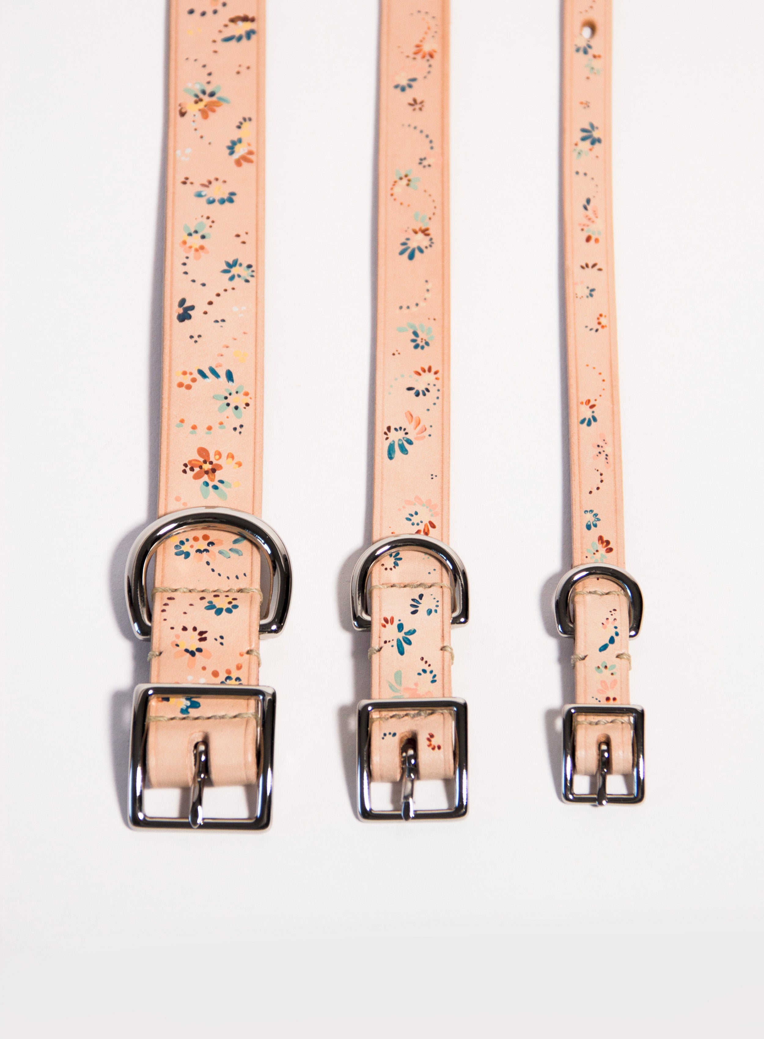 Hand Painted Leather Dog Collar