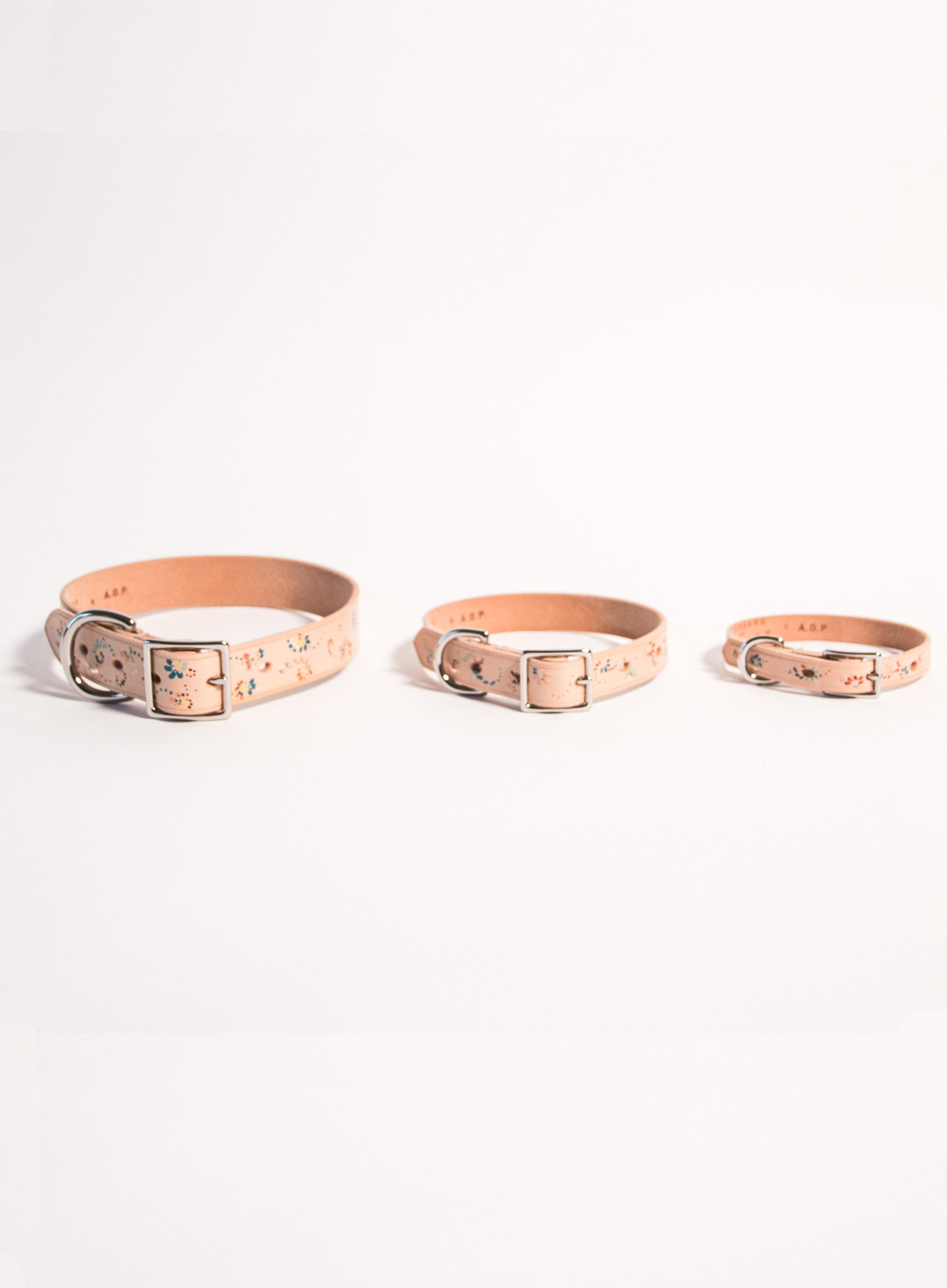 Hand Painted Leather Dog Collar