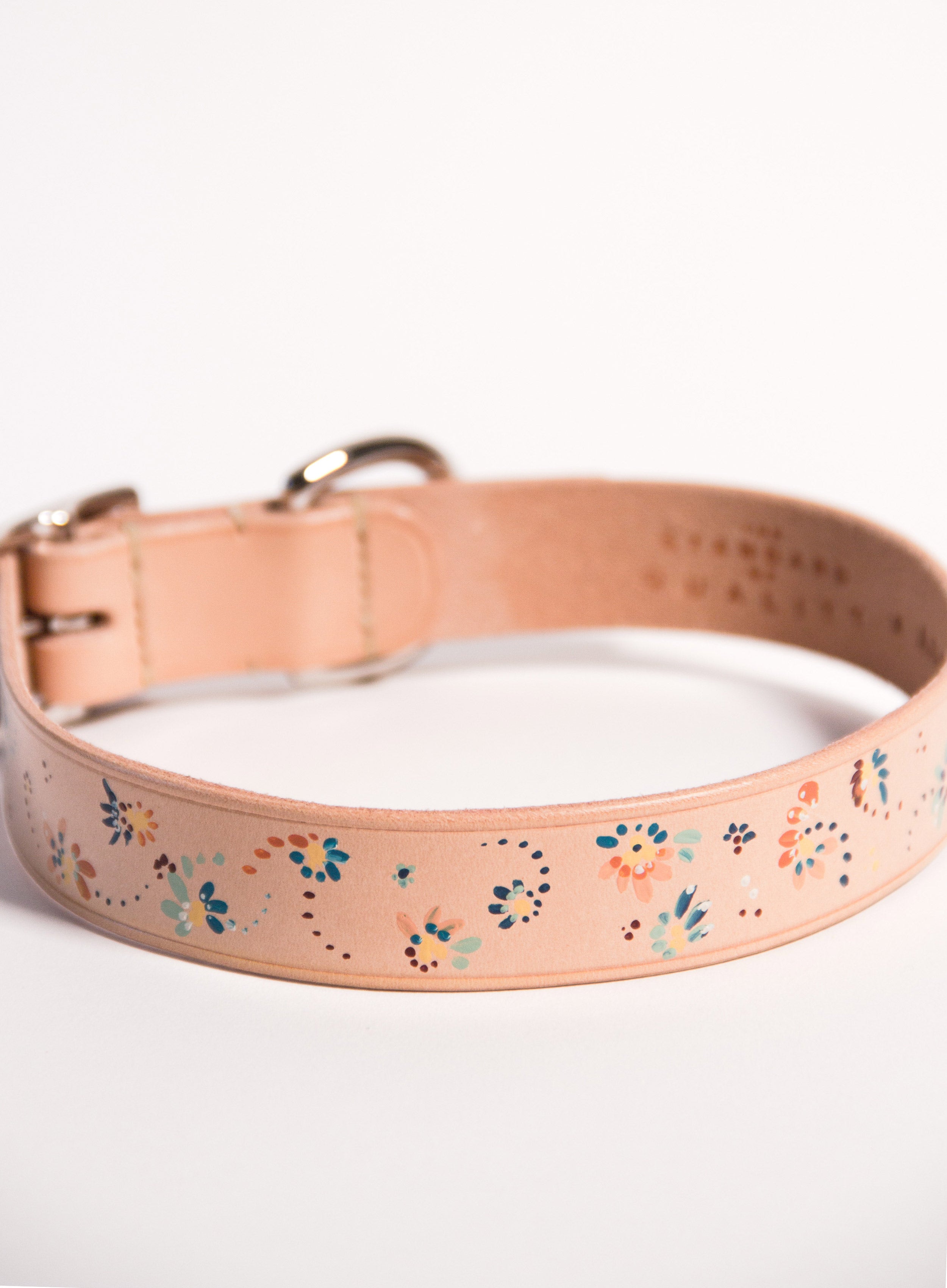 Hand Painted Leather Dog Collar
