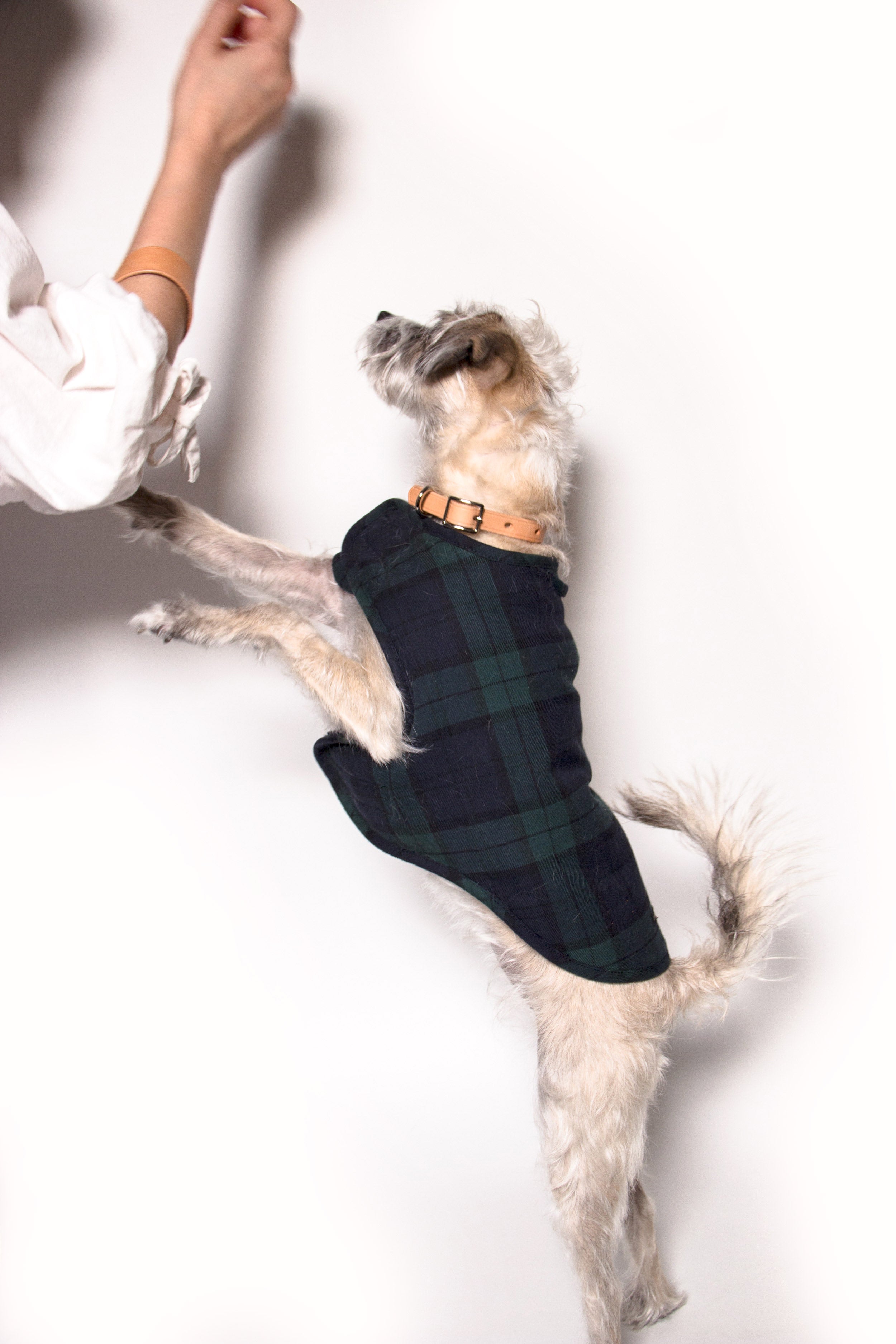 Blackwatch Sherpa Dog Jacket