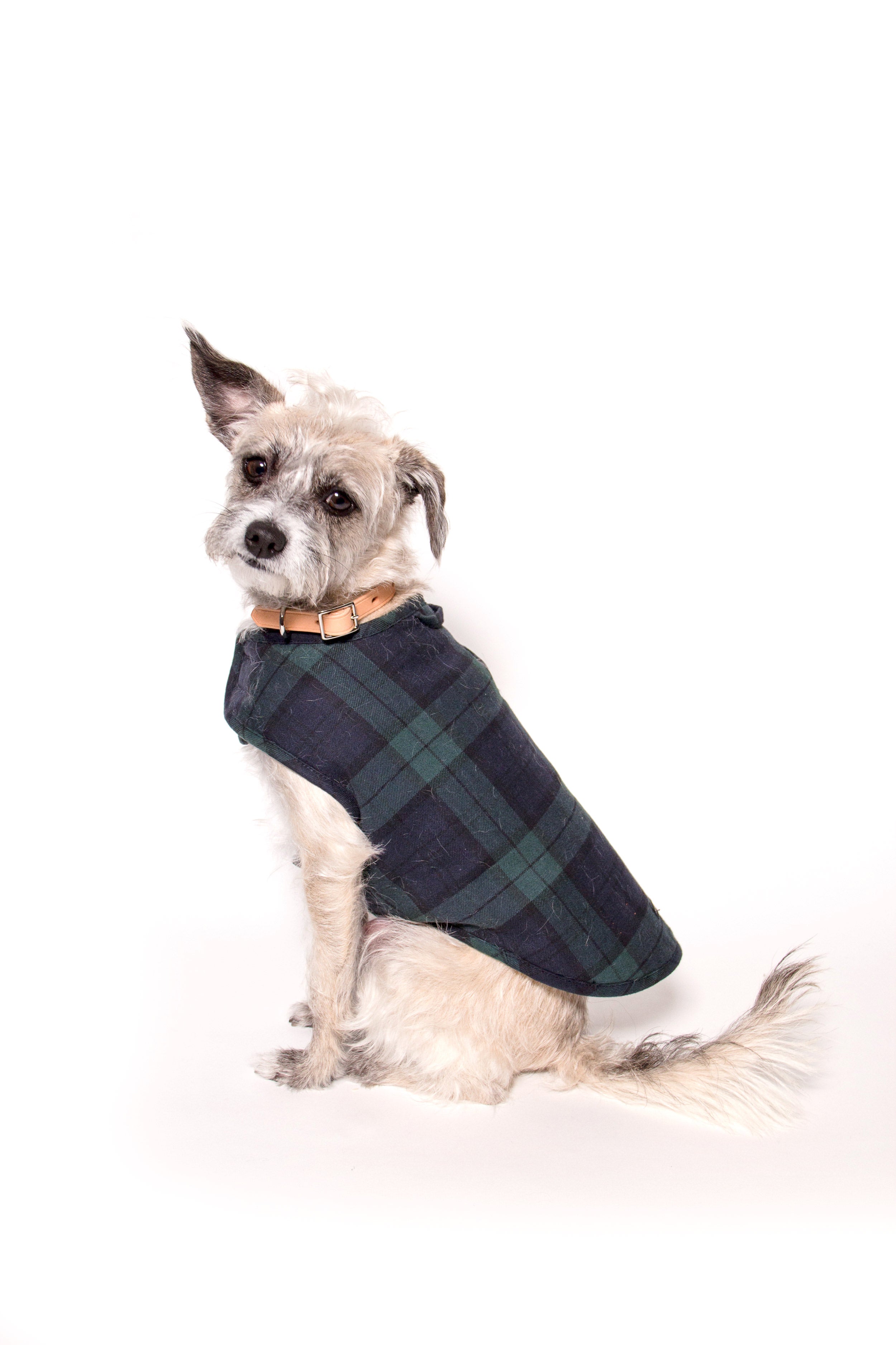 Blackwatch Sherpa Dog Jacket
