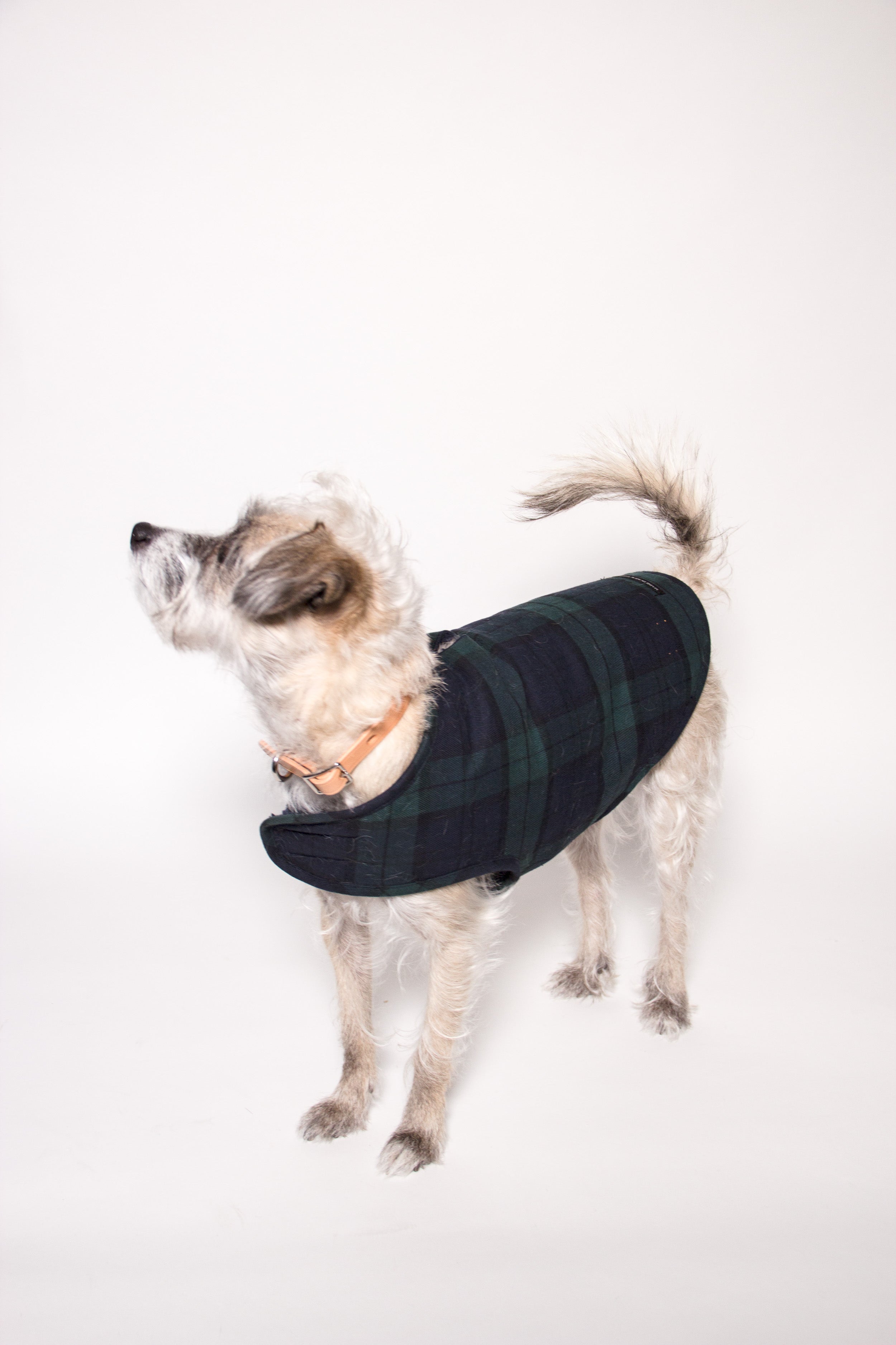 Blackwatch Sherpa Dog Jacket