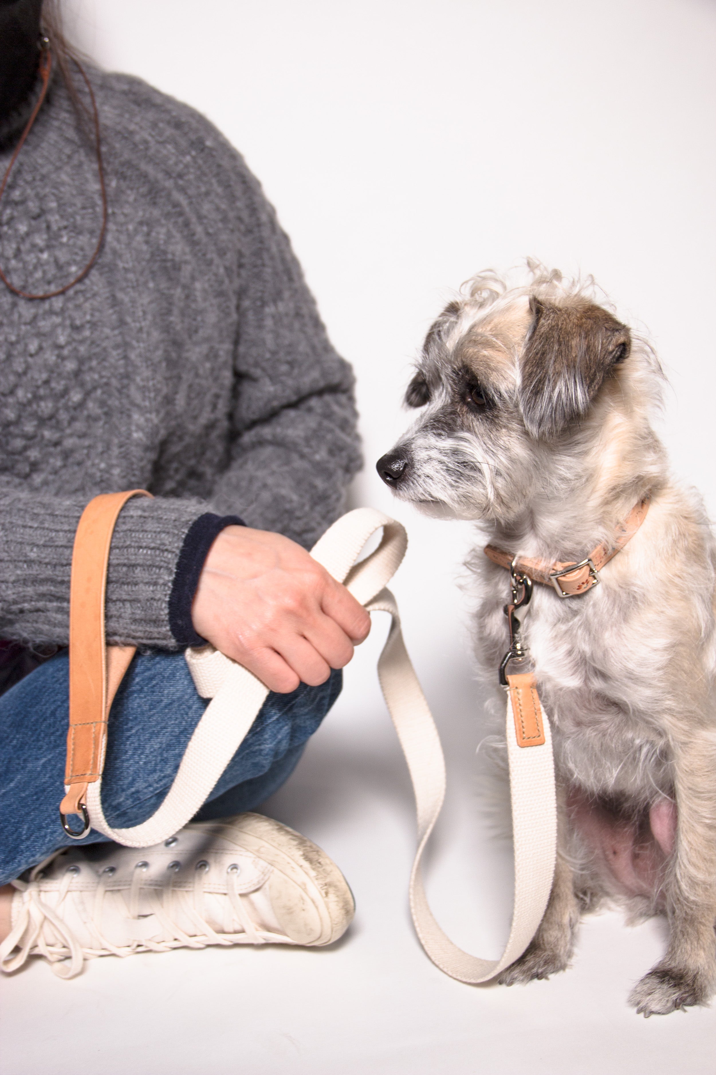 Hand Painted Leather Dog Collar
