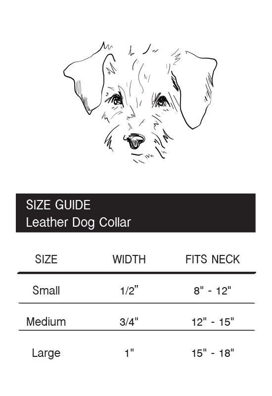 Hand Painted Leather Dog Collar