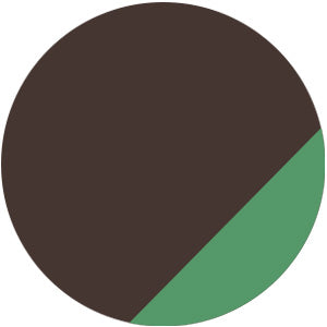 HAND PAINTED MONOGRAM on taupe canvas tote