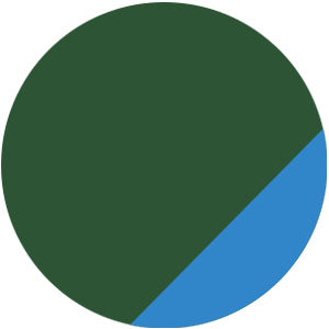 HAND PAINTED MONOGRAM on natural canvas tote