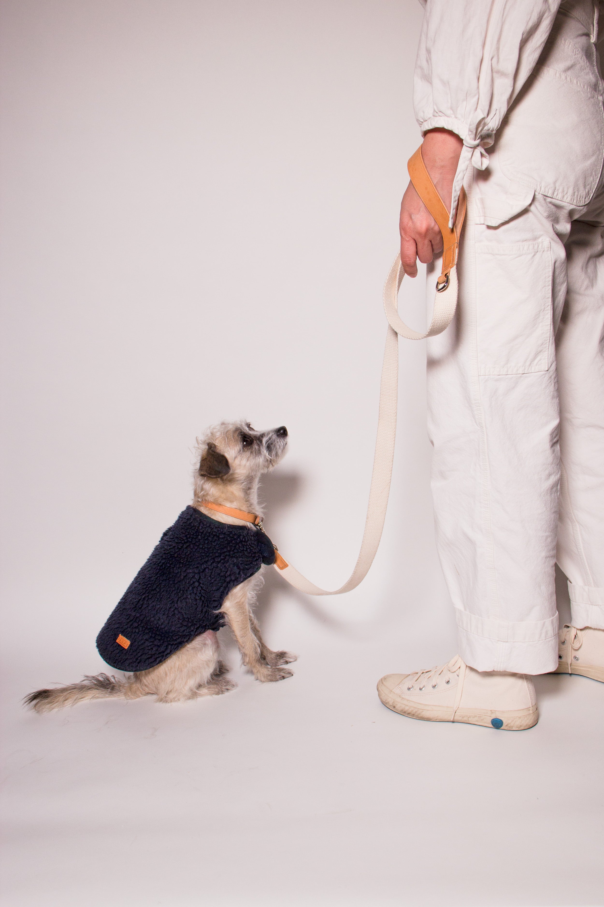 Hand Painted Leather Dog Leash