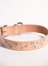Load image into Gallery viewer, Hand Painted Leather Dog Collar
